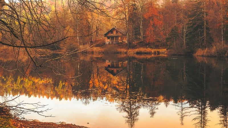 Rustic Cabin in the Forest